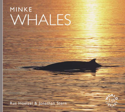 Minke Whales - Worldlife Library (Paperback)