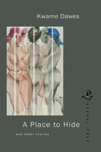 A Place to Hide (Paperback)