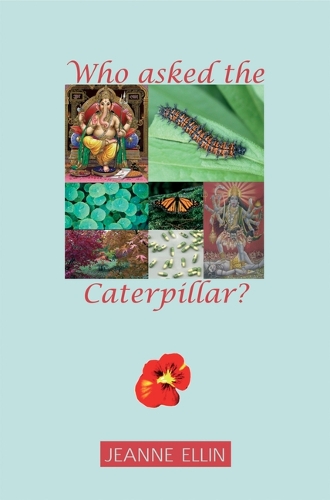 Who Asked the Caterpillar? (Paperback)