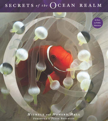 Secrets of the Ocean Realm (Hardback)