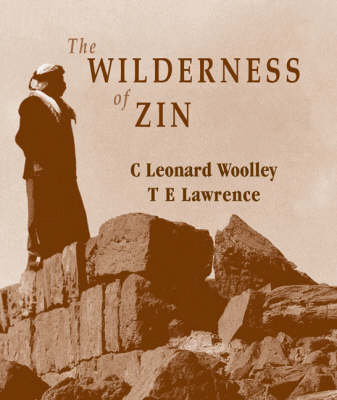The Wilderness of Zin (Hardback)