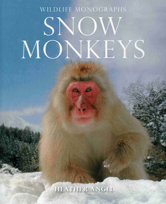 Snow Monkeys: The Gentle Giants of the Forest (Paperback)