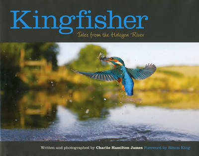 Kingfisher: Tales from the Halcyon River (Hardback)
