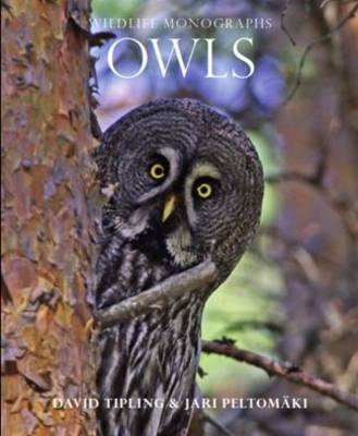 Owls - Wildlife Monographs (Paperback)
