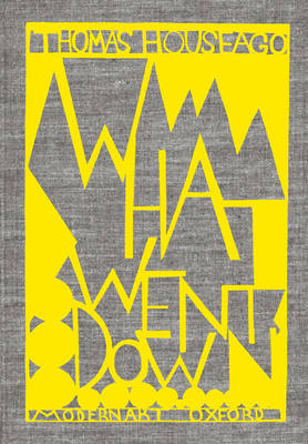 Thomas Houseago: What Went Down (Hardback)