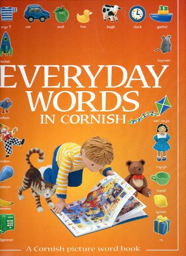 Everyday Words in Cornish (Hardback)