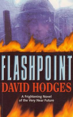 Flashpoint (Paperback)