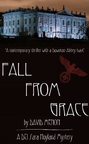 Fall from Grace (Paperback)