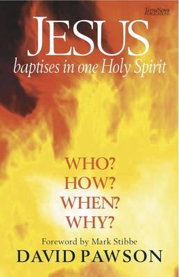 Jesus Baptises in One Holy Spirit (Paperback)