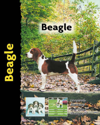 Beagle (Hardback)