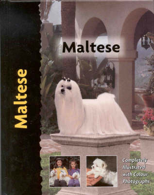 Maltese (Hardback)