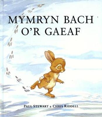 Cyfres Storiau Cwningen a Draenog: Mymryn Bach o'r Gaeaf (Hardback)