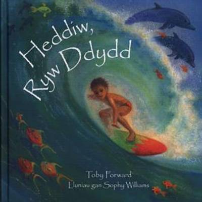 Heddiw, Ryw Ddydd (Hardback)