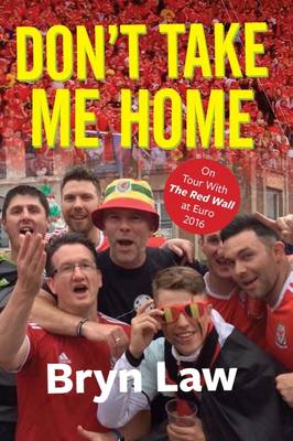 Don't Take Me Home (Paperback)