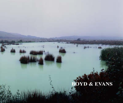 Boyd and Evans: Looking Differently (Paperback)