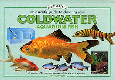 How to set up a coldwater fish tank - Help Guides