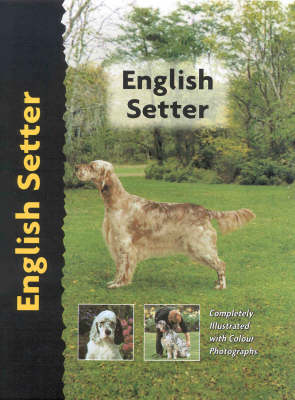 English Setter - Pet Love Dog Breed S. (Hardback)