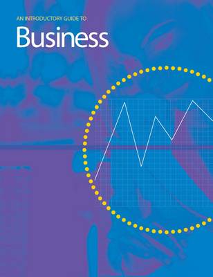 An Introductory Guide to Business - Introductory Guide to (Paperback)