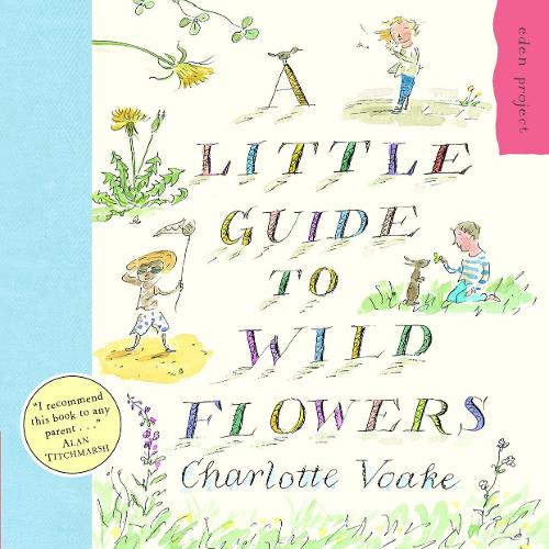 A Little Guide To Wild Flowers (Paperback)