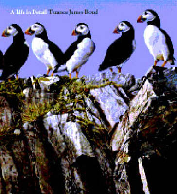 A Life in Detail - Wildlife Art Series v. 11 (Hardback)