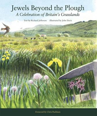 Jewels Beyond the Plough: A Celebration of Britan's Grasslands - Wildlife Art Series 31 (Hardback)