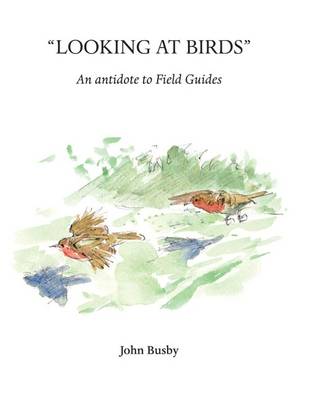 Looking at Birds: An Antidote to Field Guides - Wildlife Art Techniques 1 (Paperback)