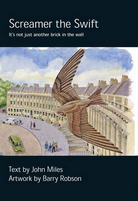 Screamer the Swift - Chick Books 2 (Hardback)