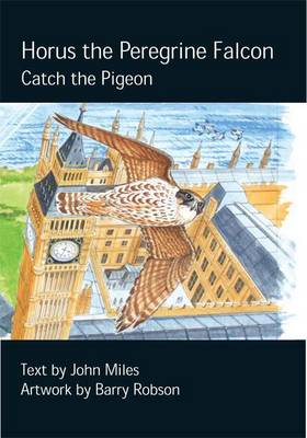 Horus the Peregrine: Catch the Pigeon - Chick Books Myweebooks (Hardback)