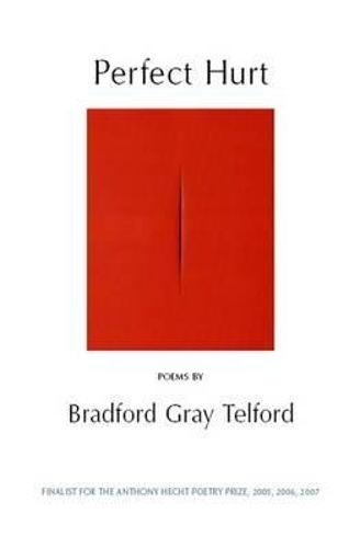 Perfect Hurt (Paperback)