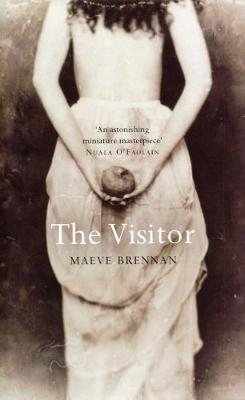 The Visitor (Paperback)