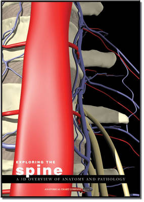Exploring the Spine: a 3D Overview of Anatomy and Pathology (CD-ROM)