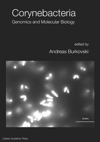Corynebacteria: Genomics and Molecular Biology (Hardback)
