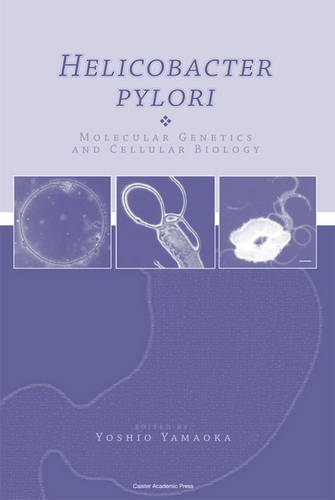 Helicobacter Pylori: Molecular Genetics and Cellular Biology (Hardback)
