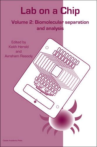Lab-on-a-Chip Technology: Volume 2: Biomolecular Separation and Analysis (Hardback)