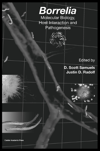 Borrelia: Molecular Biology, Host Interaction and Pathogenesis (Hardback)