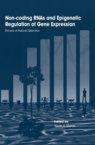 Non-Coding RNAs and Epigenetic Regulation of Gene: Expression: Drivers of Natural Selection (Hardback)