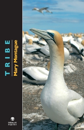 Tribe (Paperback)