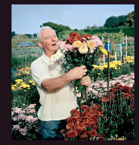 Allotments (Hardback)