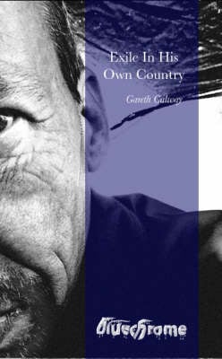 Exile in His Own Country (Paperback)