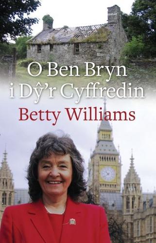 O Ben Bryn i Dy'r Cyffredin (Paperback)
