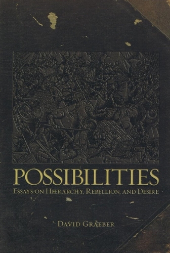 Possibilities: Essays on Hierarchy, Rebellion and Desire (Paperback)