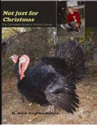 Not Just for Christmas (Hardback)