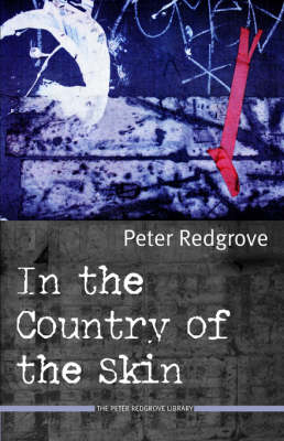 In the Country of the Skin (Paperback)