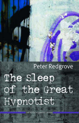 The Sleep of the Great Hypnotist (Paperback)