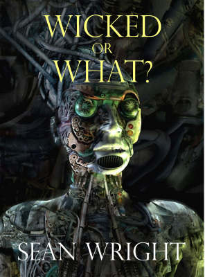 Wicked Or What? (Hardback)