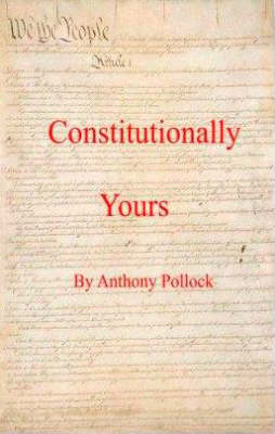 What is a Constitution: A Beginners Guide (Paperback)