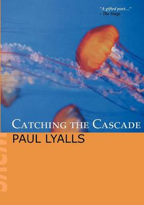 Catching the Cascade (Paperback)