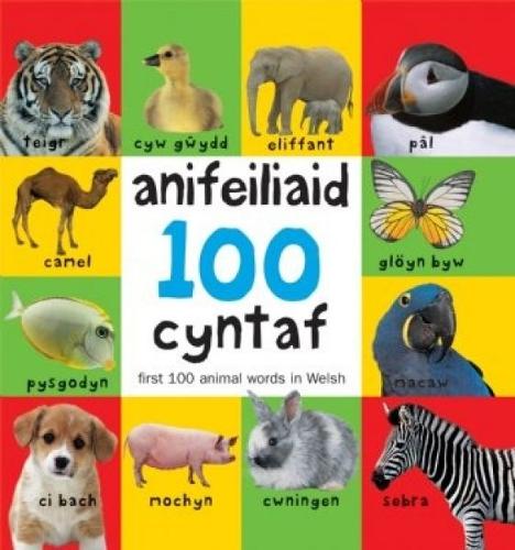 100 Anifeiliaid Cyntaf / First 100 Animal Words in Welsh (Hardback)