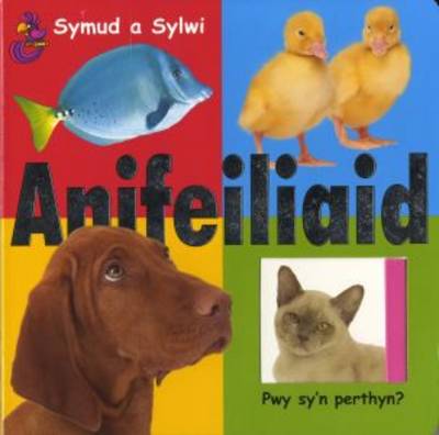 Symud a Sylwi: Anifeiliaid (Hardback)