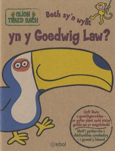 Olion Traed Bach: 4. Beth Sy'n Wyllt yn y Goedwig Law?: Pwy Sy'n Wyllt yn y Goedwig Law? (Paperback)